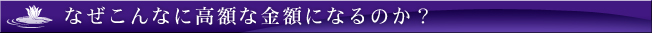 なぜ、こんなに高額になるのか？